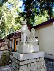 開運招福 飯玉神社(群馬県)