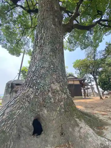 稲荷神社(岡山県)