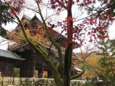 南禅寺(京都府)