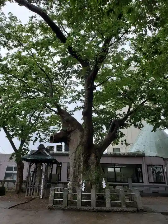 阿邪訶根神社の自然