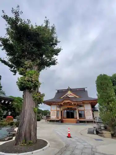 善応寺(福島県)