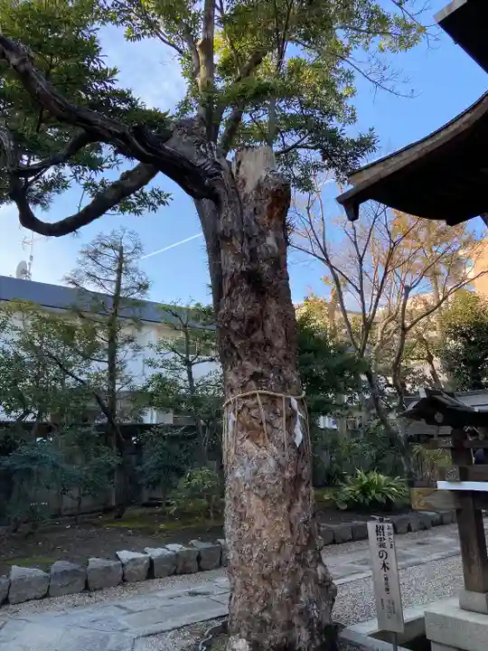 大将軍八神社(京都府)