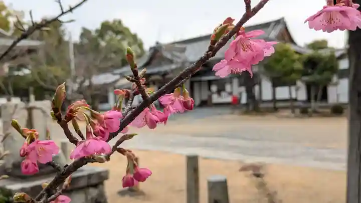 新日吉神宮(京都府)