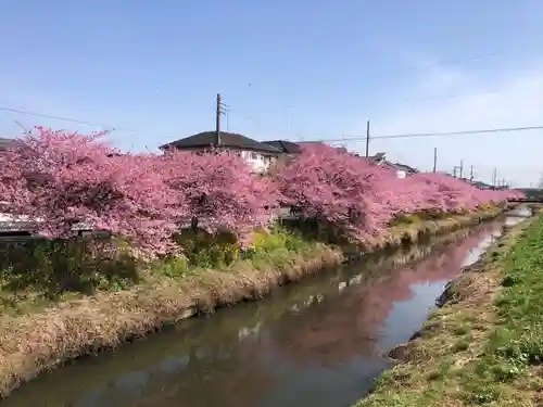 鷲宮神社(埼玉県)