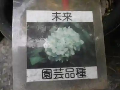 光則寺(神奈川県)