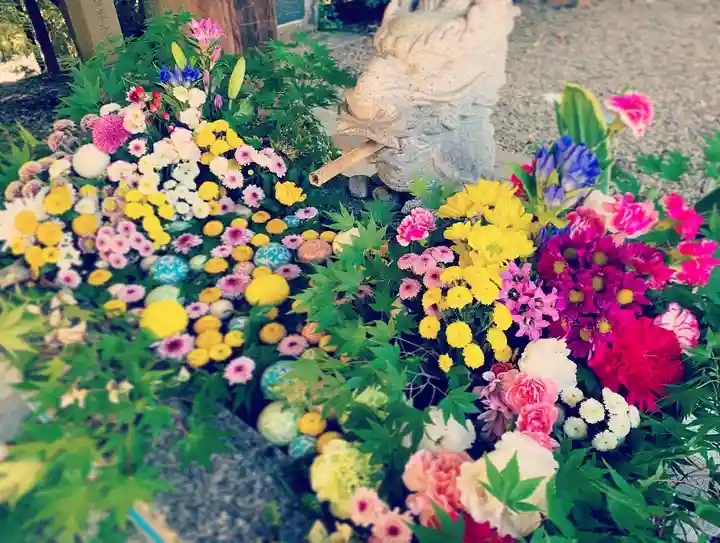 滑川神社 - 仕事と子どもの守り神の手水舎