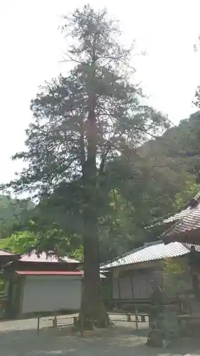 白瀧神社(群馬県)