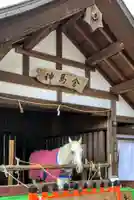 賀茂別雷神社(上賀茂神社)の動物