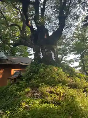 熊野皇大神社(長野県)