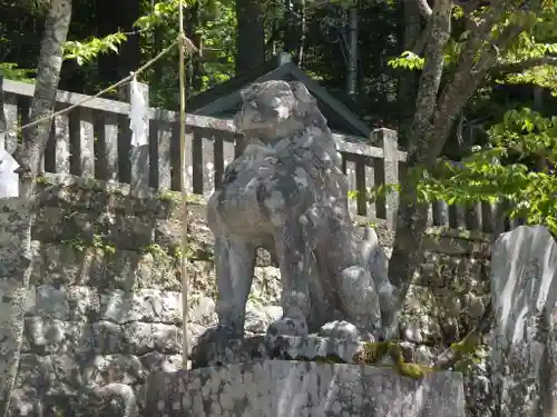 戸隠神社中社の狛犬