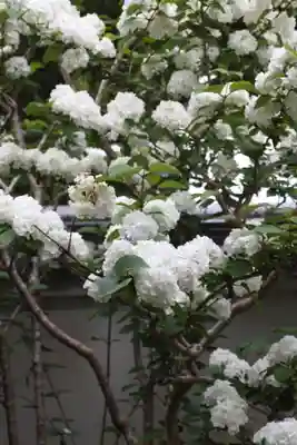 松室院(奈良県)