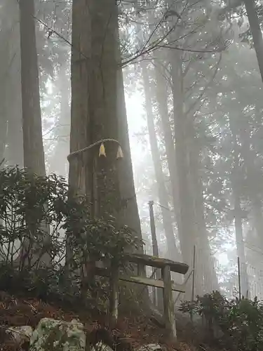 三峯神社(埼玉県)