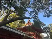 武蔵一宮氷川神社(埼玉県)