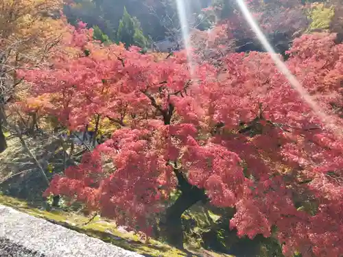 清水寺(京都府)