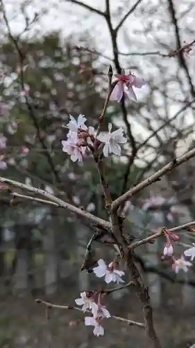平野神社(京都府)