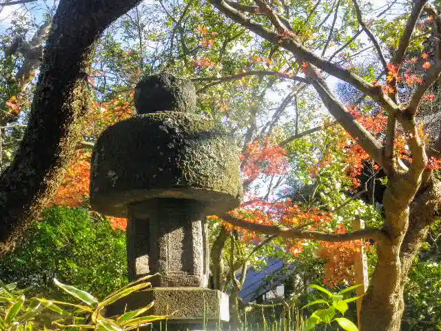 安國論寺(安国論寺)の塔
