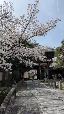 本法寺(京都府)