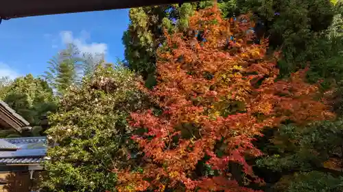 雲龍院(京都府)