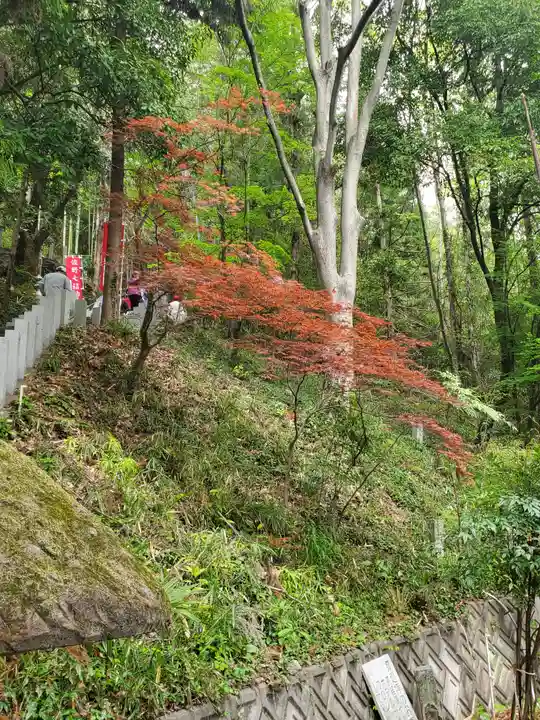 磯山弁財天(栃木県)