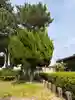愛宕神社(廣田神社境外末社)の自然