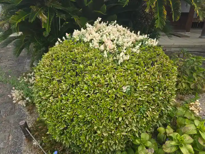 帝釈寺(大阪府)