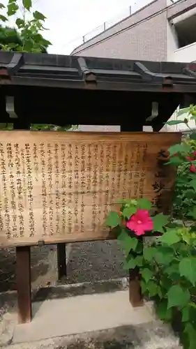 妙蓮寺の歴史