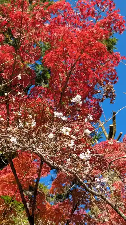 赤山禅院(京都府)