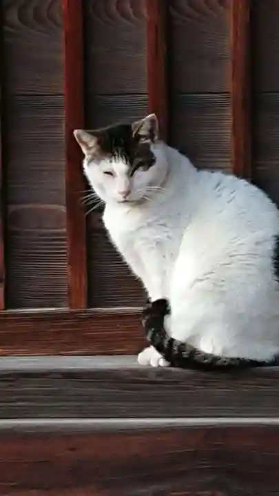 佐野赤城神社の動物