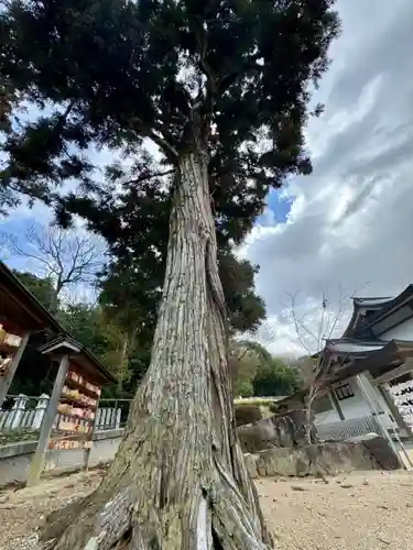 日岡神社(兵庫県)
