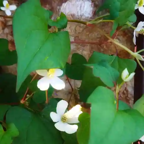 玉性院(岐阜県)