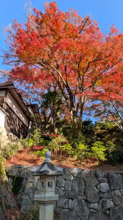 善峯寺(京都府)