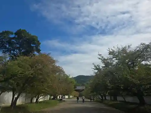 醍醐寺(京都府)