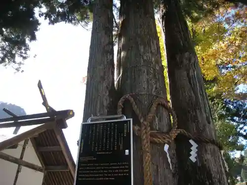奥氷川神社(東京都)