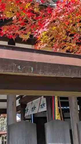 新熊野神社(京都府)