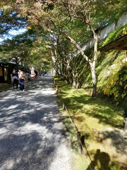 三千院門跡の{uncategorized: "未分類", other: "その他", undefined: "問題あり", building: "その他建物", grave: "お墓", sacred_gate: "鳥居", guardian: "狛犬", statue: "像", buddha: "仏像", history: "歴史", nature: "自然", garden: "庭園", animal: "動物", pagoda: "塔", temizu: "手水舎", mountain_gate: "山門・神門", sanctuary: "本殿・本堂", subordinate: "末社・摂社", art: "芸術", scenery: "景色", jizo: "地蔵", ema: "絵馬", goshuin: "御朱印", omikuji: "おみくじ", items: "授与品その他", amulet: "お守り", goshuincho: "御朱印帳", eats: "食事", festival: "お祭り", votive_dance: "神楽", shichigosan: "七五三参", wedding: "結婚式", experience: "体験その他", initially: "初詣", around: "周辺", anti_infection: "感染症対策"}