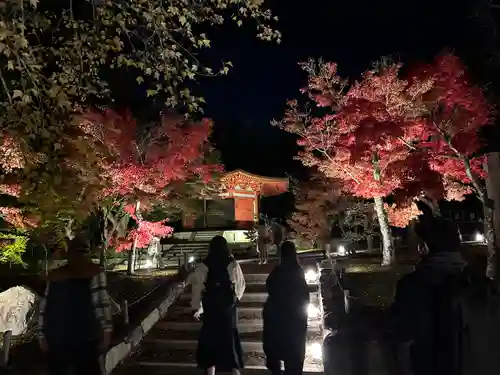 東福禅寺（東福寺）(京都府)