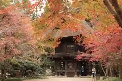 平林寺(埼玉県)