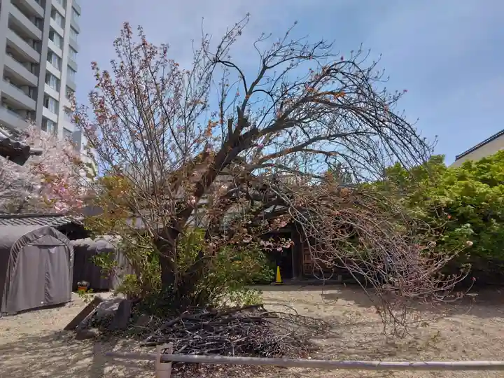 東海寺(東京都)