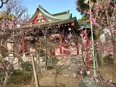 亀戸天神社(東京都)