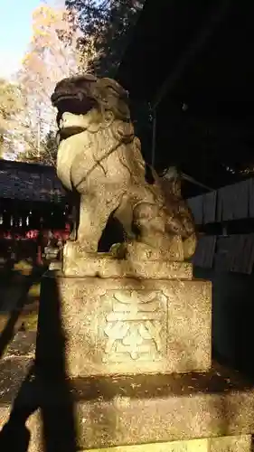 菅東山出世稲荷神社の狛犬