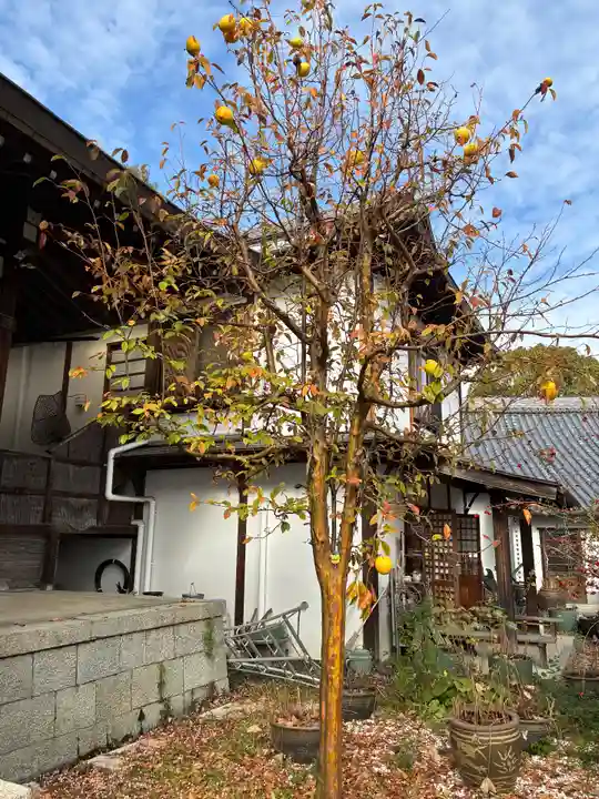 盛松寺(大阪府)
