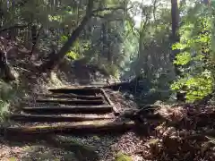 白山神社の自然