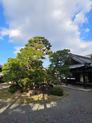 得浄明院(善光寺別院)(京都府)