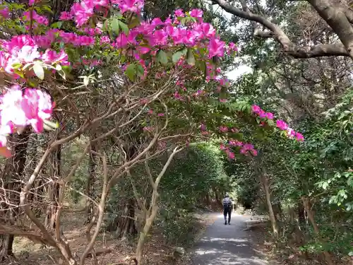 大瀬神社(静岡県)