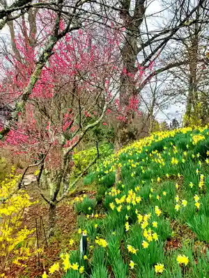 石都々古和気神社の自然
