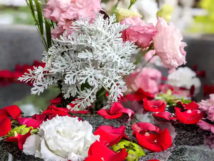 三津厳島神社の手水舎