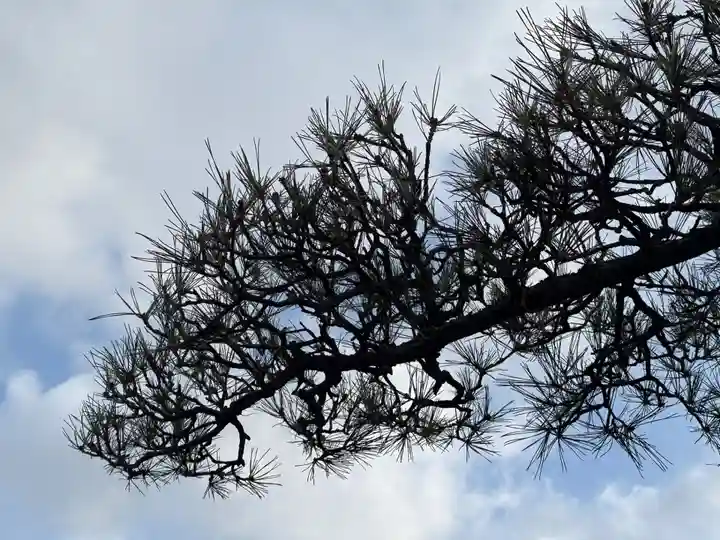 西方山極楽寺(岐阜県)