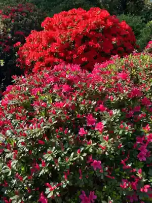 根津神社(東京都)