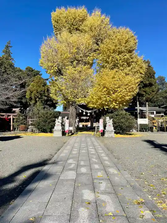 亀ケ池八幡宮(神奈川県)