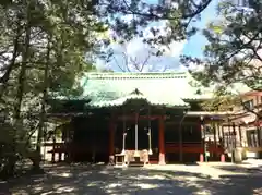 赤坂氷川神社の本殿